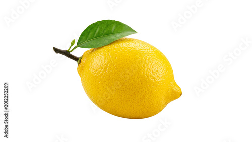 Fresh Yellow Lemon with Green Leaf Isolated on Transparent Background