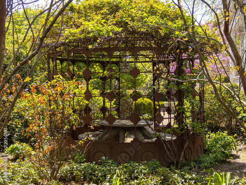 A tranquil garden scene featuring a rustic metal gazebo covered in climbing vines and surrounded by lush spring foliage and ornamental plants. Captured in natural sunlight.