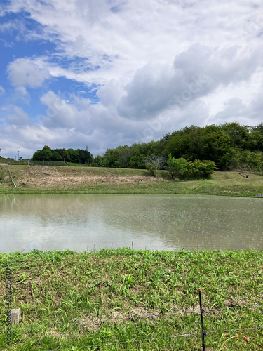 田植えが終わったばかりの田んぼ2