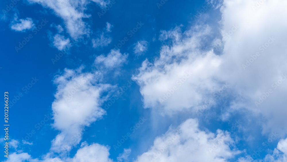 Fototapeta premium A bright, clear blue sky dotted with soft, fluffy white clouds, creating a calm cloudscape that evokes open air, good weather, and a peaceful, airy atmosphere overhead.