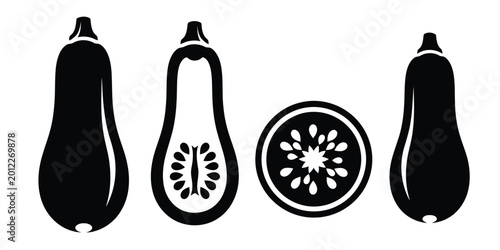 Butternut Squash and Slice Silhouette on White Background