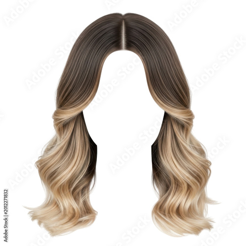 long wavy ombre hair wig with highlights isolated on transparent background