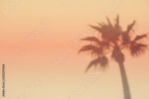 Blurred shadow of a palm tree on a soft warm sunset colored wall