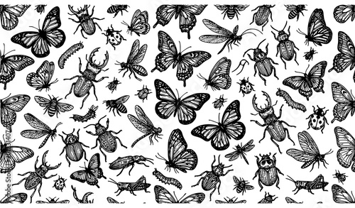 Bild auf Leinwand Insects doodle seamless pattern butterfly and beetle sketch vector illustration