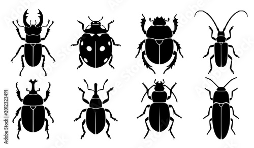 Bild auf Leinwand Assorted beetle silhouettes black vector insect clipart set illustration