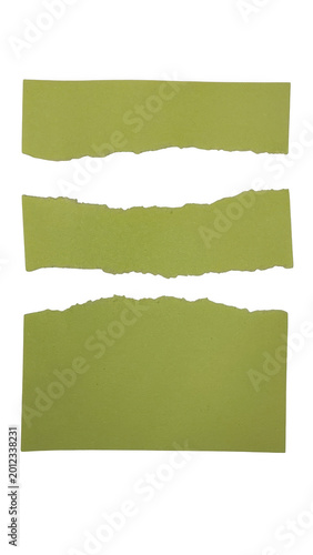Three torn green paper strips on a plain background