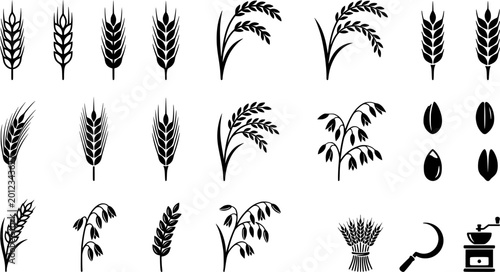 Cereal and grain icons representing wheat harvest, organic seed varieties, and traditional agricultural milling tools.