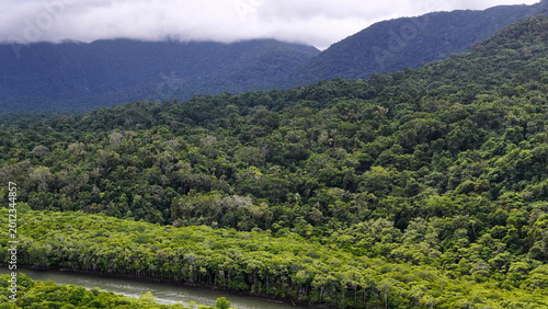 Aerial View of Daintree Rainforest Canopy and River Under Misty Mountains