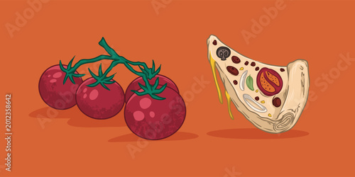 Tomato branch and pizza slice vector illustration fresh food hand drawn style