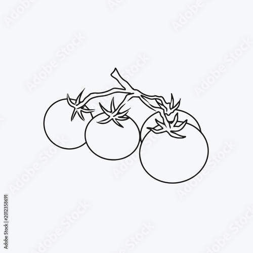 Line Art Fresh red tomato cluster illustration vector healthy organic food concept