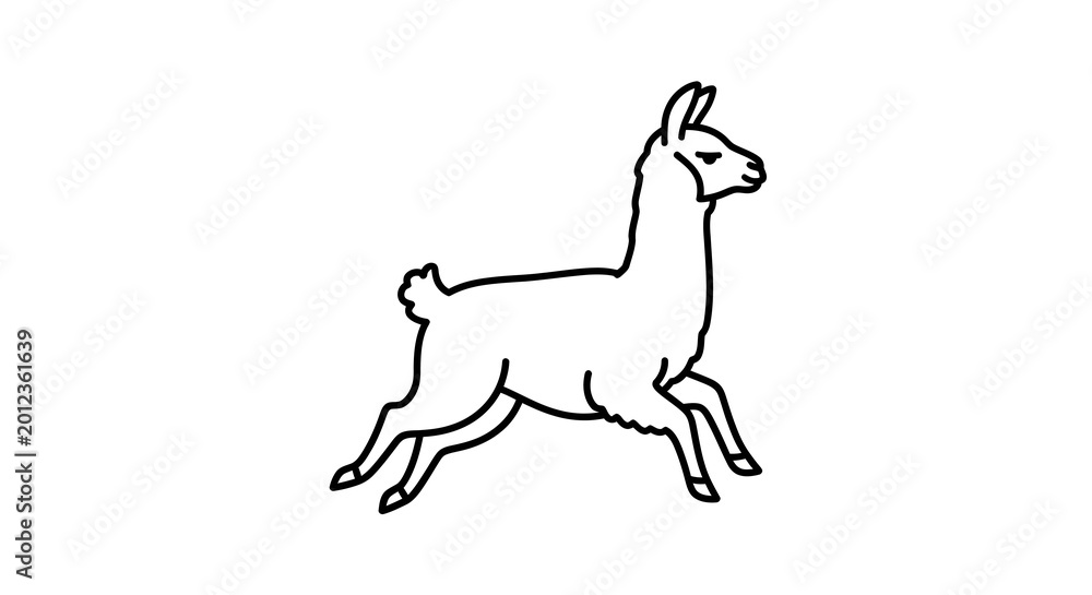 Obraz premium Adorable alpaca creature galloping and leaping in minimalist line art style, vector illustration of a woolly mammal in motion, simple flat icon design isolated on a clean white background.