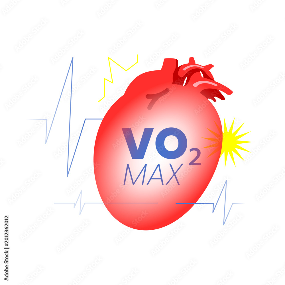 Fototapeta Vector illustration of heart with VO2 max, heartbeat symbol