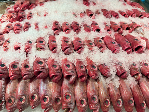 Valokuva big-eyed snapper fish buried in crushed white ice at a fresh seafood market