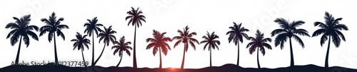 Stylized vector silhouettes of various palm trees, clean white background , summer, nature, clipart