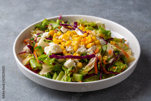 Fresh Garden Salad with Fet...