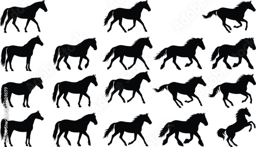 Foto WebSet of black horse silhouettes featuring various breeds and poses including walking, running, galloping, and rearing for equestrian design projects