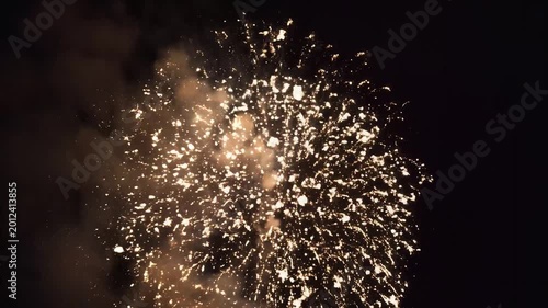 Spectacular Golden Fireworks Exploding in the Night Sky 1.