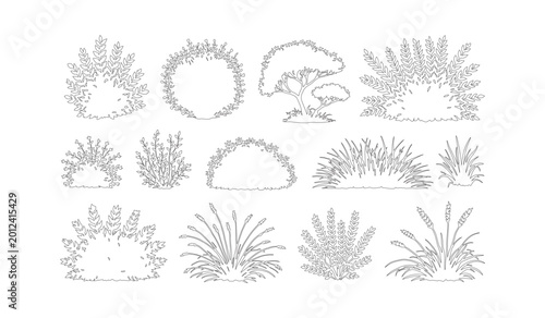 Hand drawn architectural vegetation set, minimalist outline trees and bushes vector, black and white landscape plant sketches for site plans