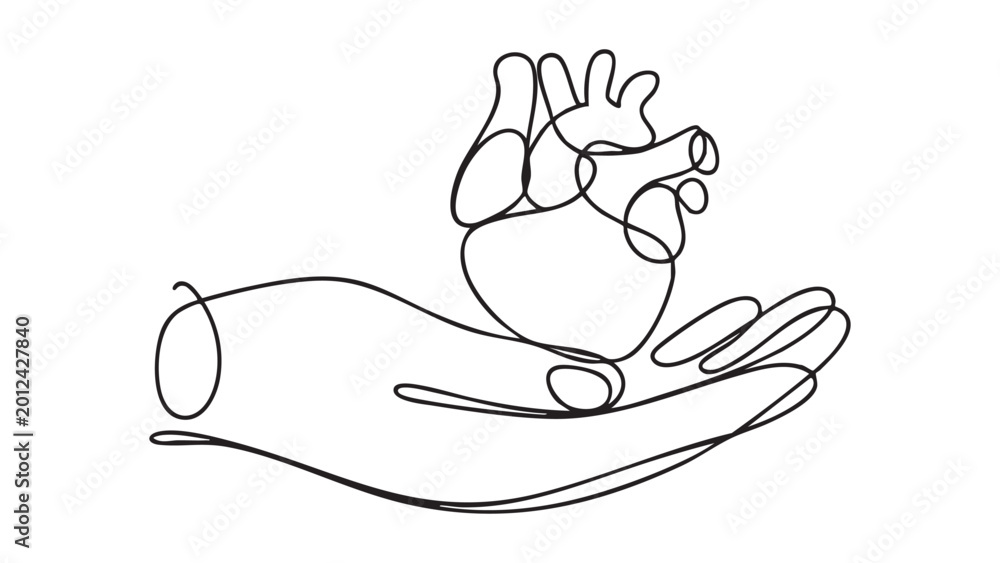 Obraz premium Anatomic heart held in human hand continuous line drawing for organ donation medical concept.