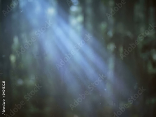 Ethereal light streams through a blurred forest canopy, creating a mystical atmosphere.