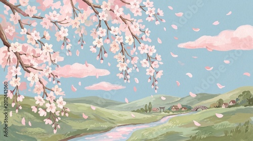 cherry blossom in spring