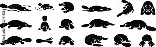 Collection of stylized black silhouette icons of platypuses in various poses with semi aquatic platypus icon animal icon wildlife icon mammal icon duckbill plat