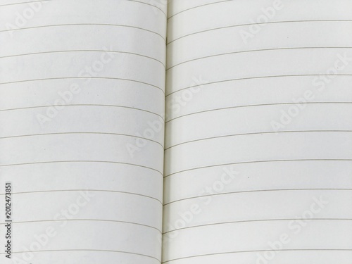 Overhead view of an open lined notebook showing two facing pages with horizontal ruled lines and a central spine binding, ready for writing or note-taking.