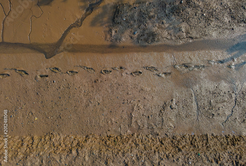 Foto Footsteps on Muddy Ground, Human Activity Texture from Above
