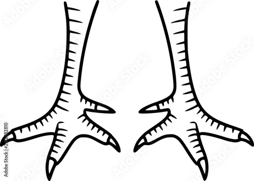 Black and white outline of bird feet with sharp claws, isolated white talons