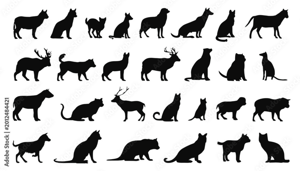 Fototapeta premium Animals silhouettes collection features various domestic and wild creatures arranged in a grid format to provide a comprehensive visual library for graphic design projects and educational creative.