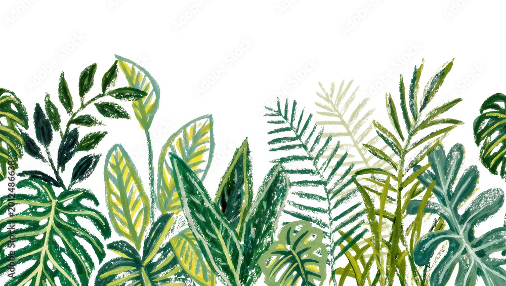 Fototapeta premium Assorted green tropical foliage with varied leaf shapes, isolated on transparent background