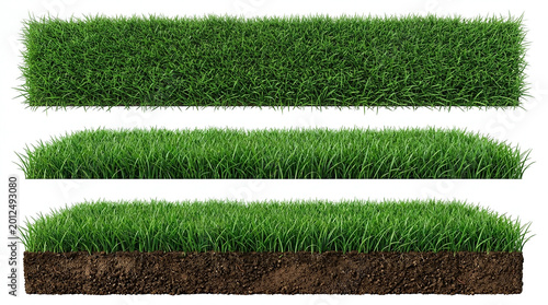 Three isolated cross sections of lush green grass lawn patches featuring varying soil depths