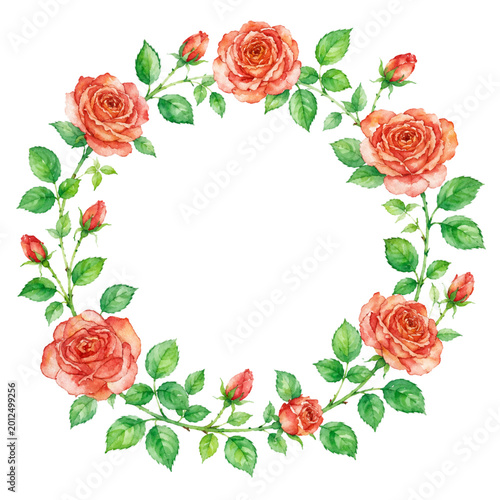 Watercolor Pink Rose Floral Wreath Round Frame Isolated on White Background