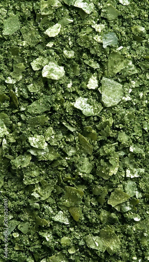Fototapeta premium Fine Textured Nutritious Dry Microgreen Sprouts Powdered for Vitamin-Filled Garnish Material Display