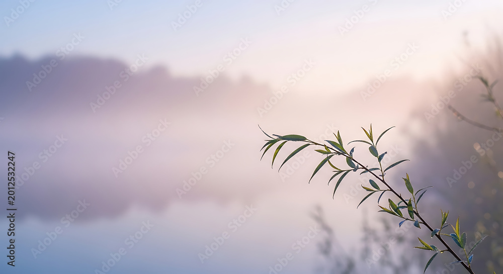 Fototapeta premium Foggy lake at sunrise with tree branch