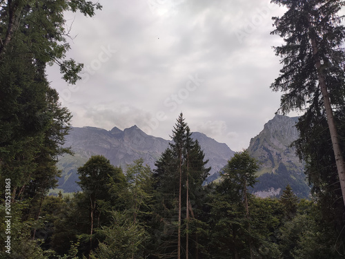 Alpine mountains rising above dense forest under cloudy sky scenic Switzerland nature landscape view