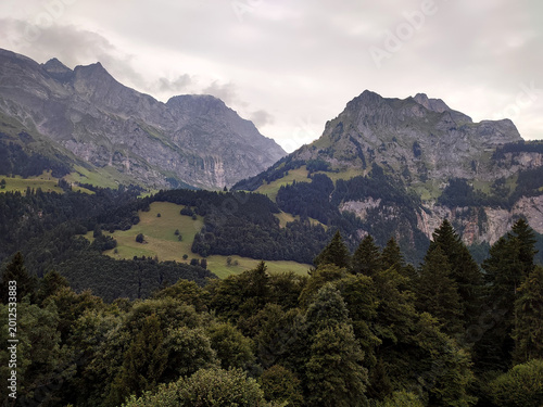 Scenic view of Swiss alpine mountains with lush green hills and dense forest in the foreground. Rocky peaks rise under a soft cloudy sky, creating a calm and atmospheric nature landscape.
