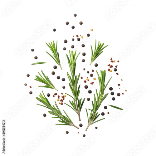 Fresh green rosemary sprigs scattered with black peppercorns and dried chili flakes isolated on a solid black background