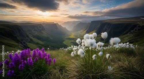 Beautiful mountain landscape with purple and white flowers in the foreground at sunset with green hills and cliffs