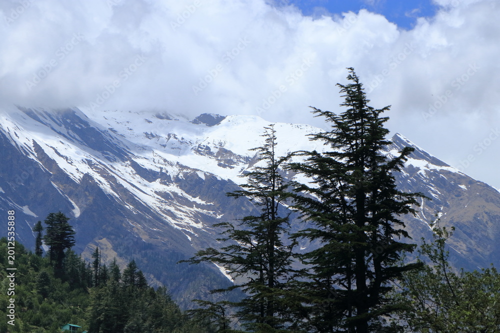 Obraz premium Beautiful landscapes of Harsil Valley with rivers mountains and deodar forests. Scenic Himalayan views of Harsil Valley featuring rivers, waterfalls, snow-covered mountains, and dense deodar forests. 