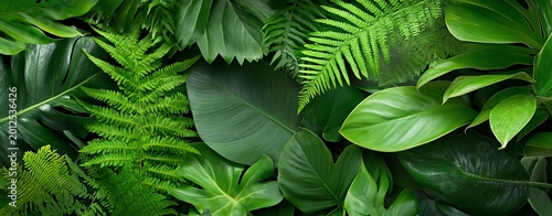 Diverse green foliage in a vibrant display.