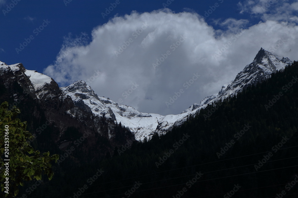 Obraz premium Snow covered Himalayan peaks and deodar forest in Harsil Valley Uttarkashi India. Beautiful snow-covered Himalayan mountains rising above dense deodar forest under dramatic clouds in Harsil Valley.