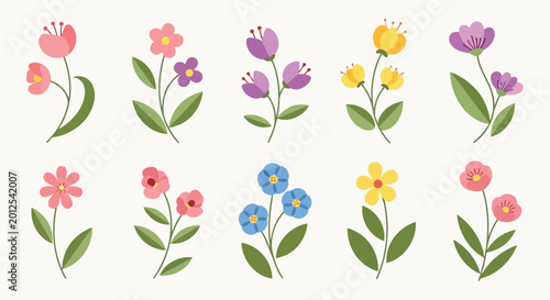 Adobe Illustrator Artwork