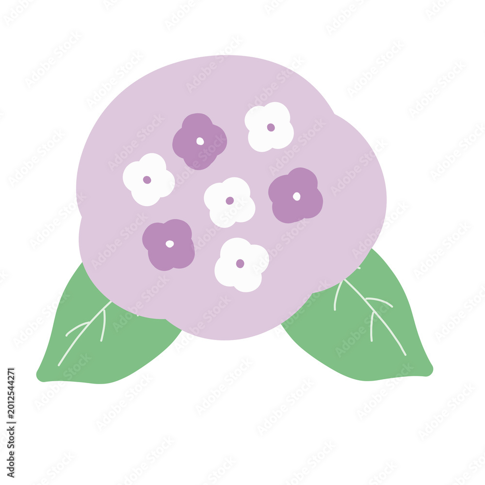 Obraz premium むらさきの紫陽花のカラーイラスト・梅雨