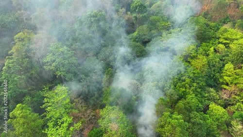 High-angle aerial shot of burning tropical forest area, emphasizing deforestation risks, wildlife displacement, and irreversible damage to natural ecosystems and carbon storage capacity. Thailand. 4k.