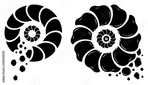 Photos Spiral ammonite sea shells crumbling into small fragments in minimalist stencil