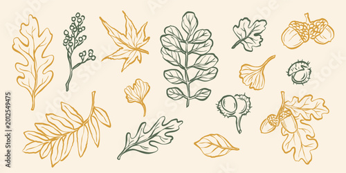 Doodle hand drawn leaves illustrations
