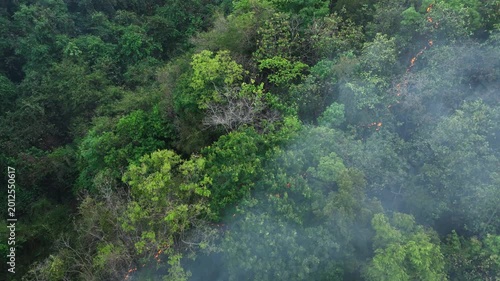 An aerial shot of wildfire in tropical forest, flames consuming vegetation, highlighting deforestation risks, wildlife habitat loss, air quality issues, and long-term planetary health concerns. 4k.
