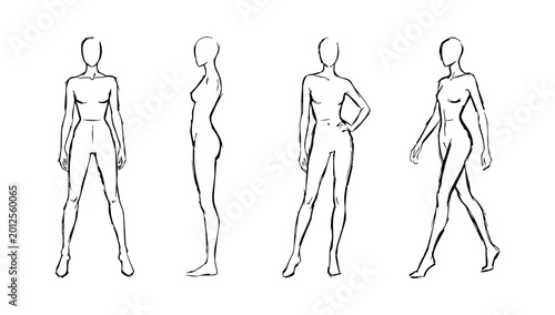 Minimalist continuous black line art vector illustration showcasing a graceful female figure in multiple standing and walking poses for fashion design anatomy study and apparel modeling on clean