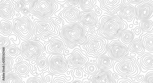 Topographic Map Lines - Abstract Organic Pattern Background